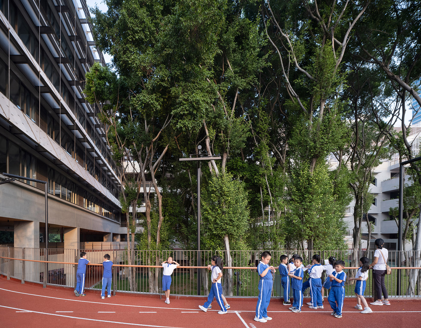 荔园外国语小学（景田）丨中国深圳丨直向建筑-39