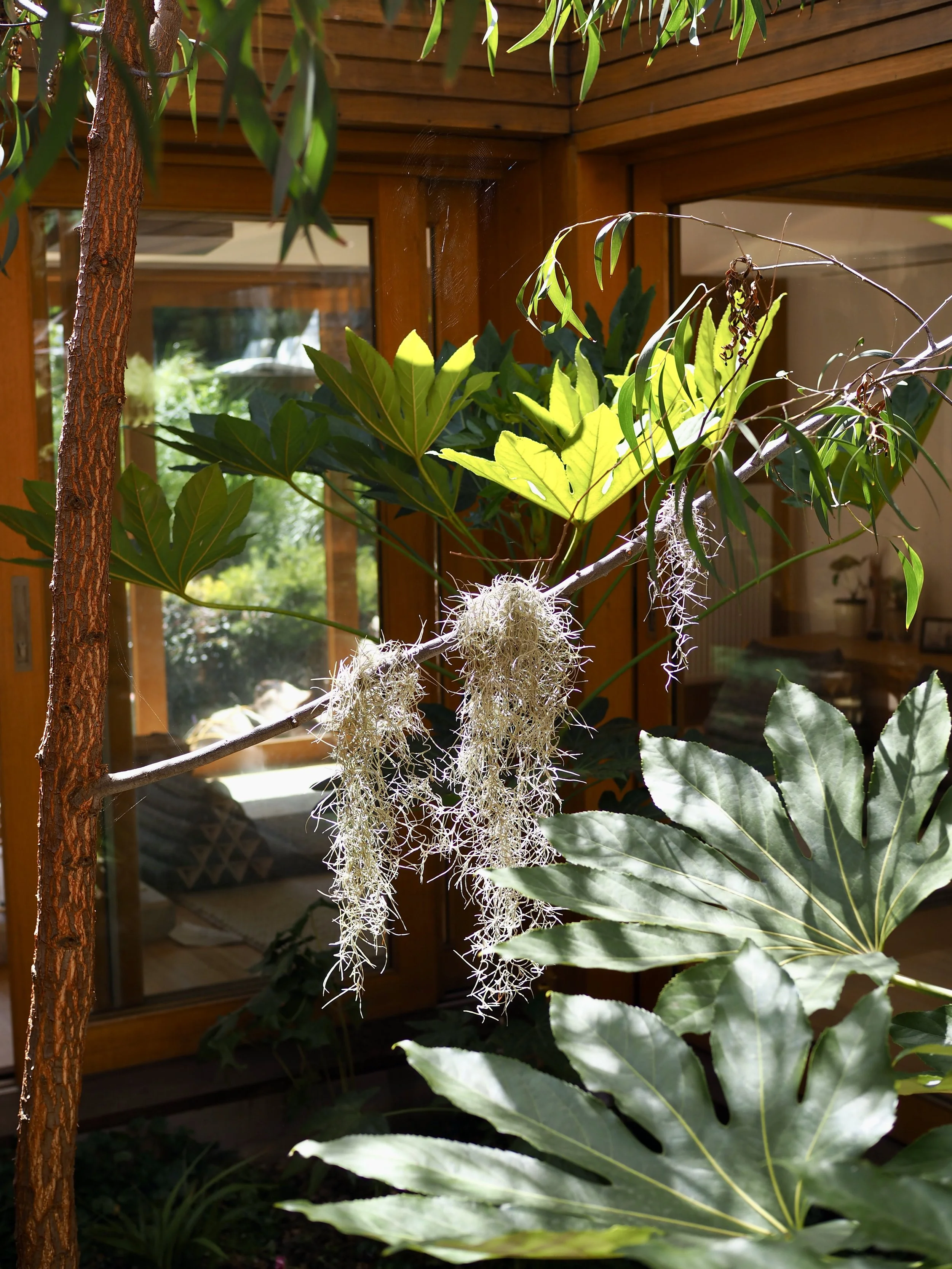 丨MODO（建筑设计）,Straw Brothers（设计,园艺与摄影）-14