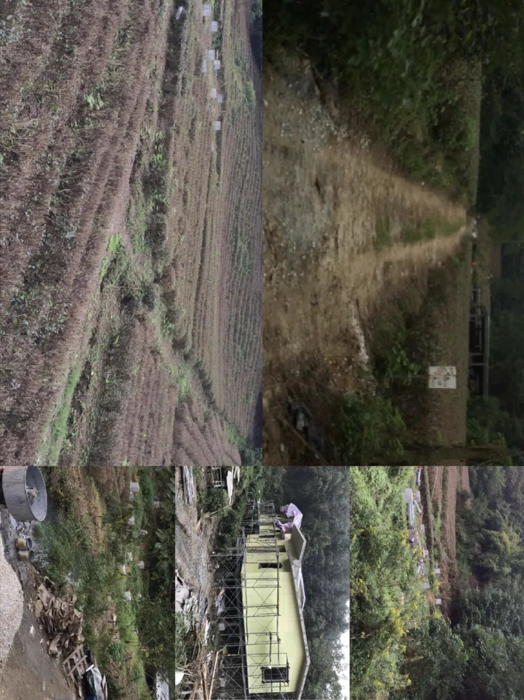 重塑人与自然的连接｜开元森泊度假酒店-67