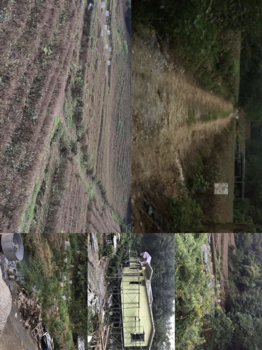 重塑人与自然的连接|开元森泊度假酒店-67