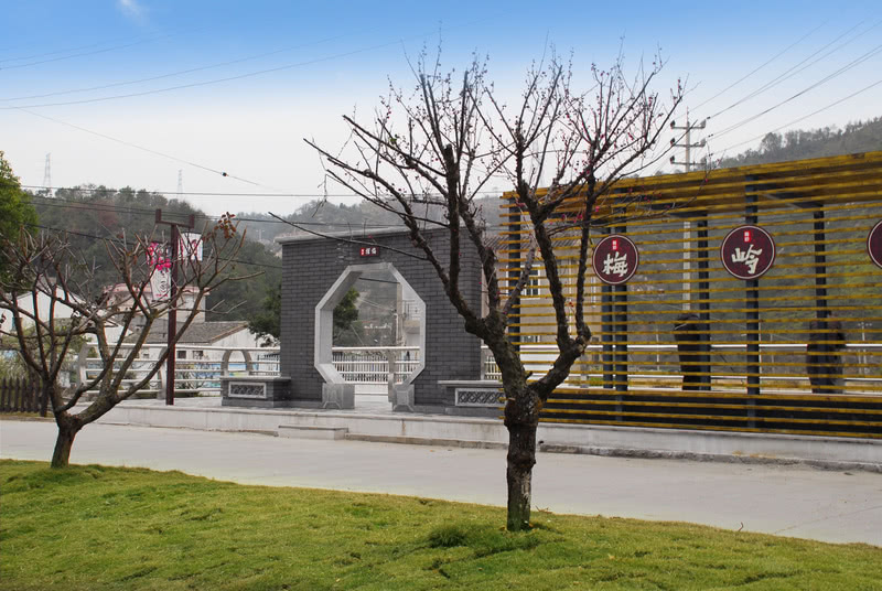 干江梅花仙境 · 打造梅岭特色梅花村-24