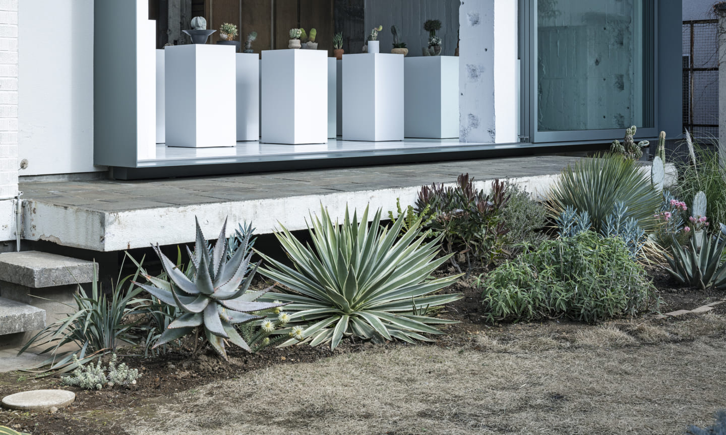 Qusamura Tokyo  Suppose Design-16