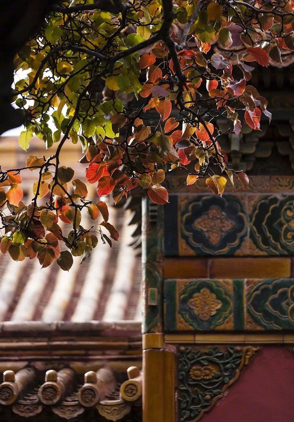 故宫消防 | 世界最大规模木结构建筑群的防火秘籍-78