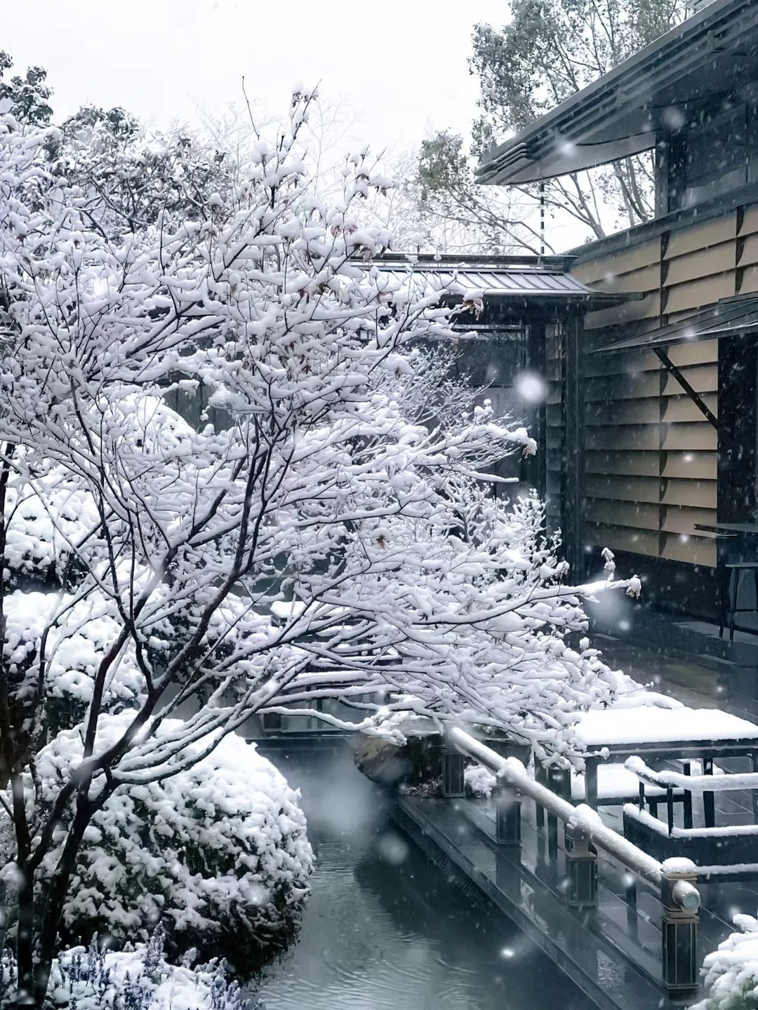 台州建发养云丨中国台州丨致逸设计-131