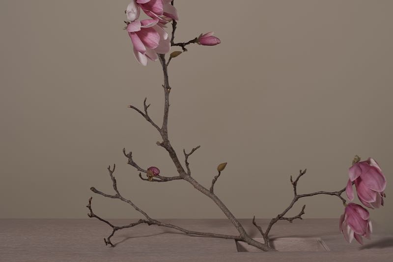 Monument catalogue for Daniel Boddam. — Design.daily-15