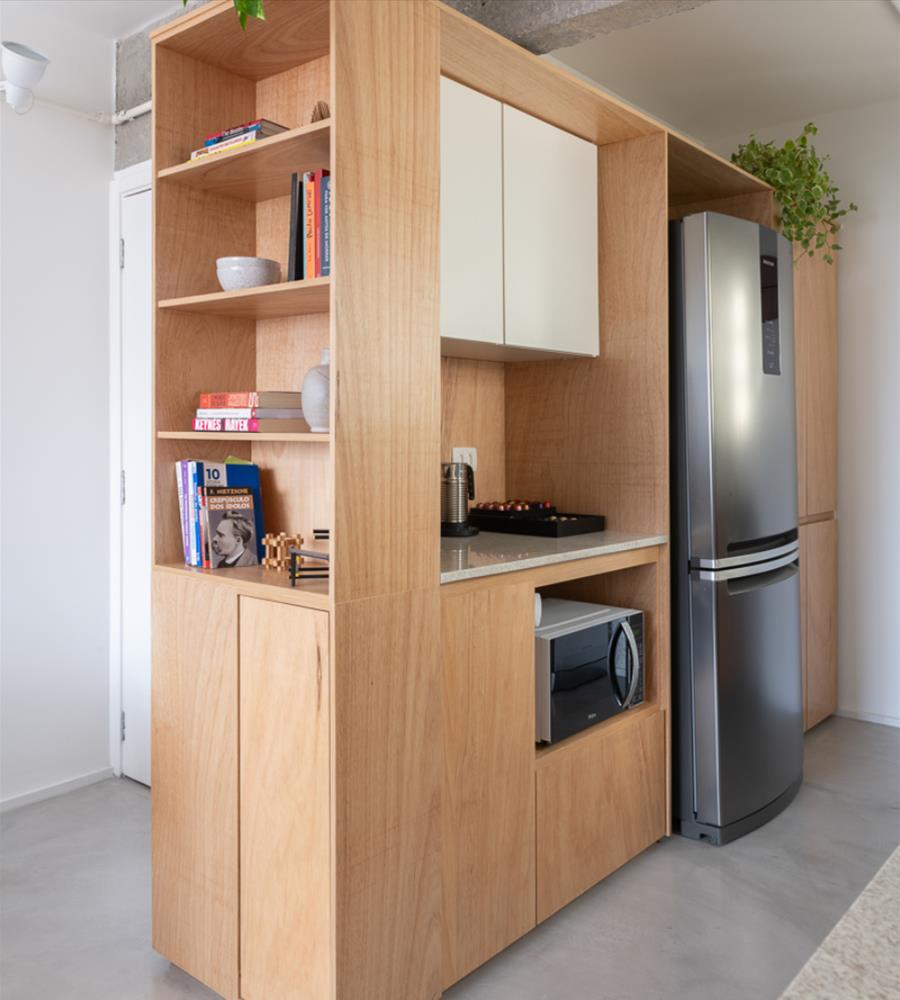 巴西 Pinheiros 公寓改造-3