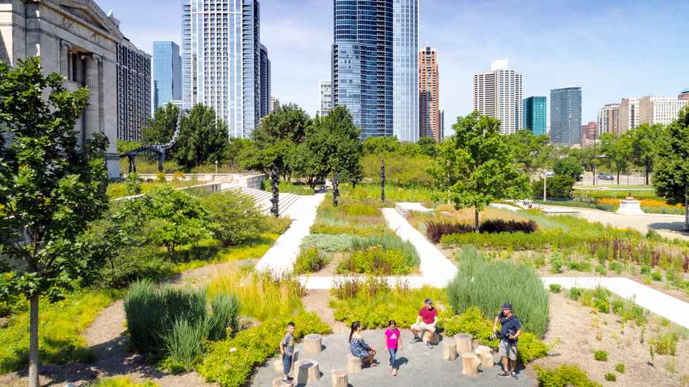 Field Museum of Natural History Landscape | Chicago Native Landscape Design-26
