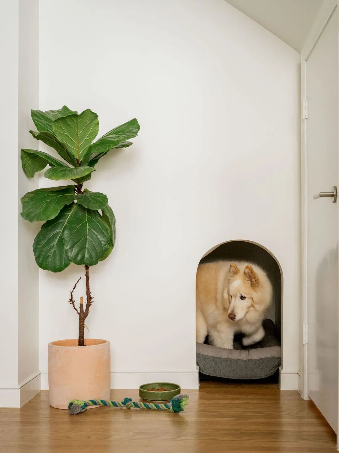 LibertyStreet翻新，旧金山/时空折叠新旧和鸣-12