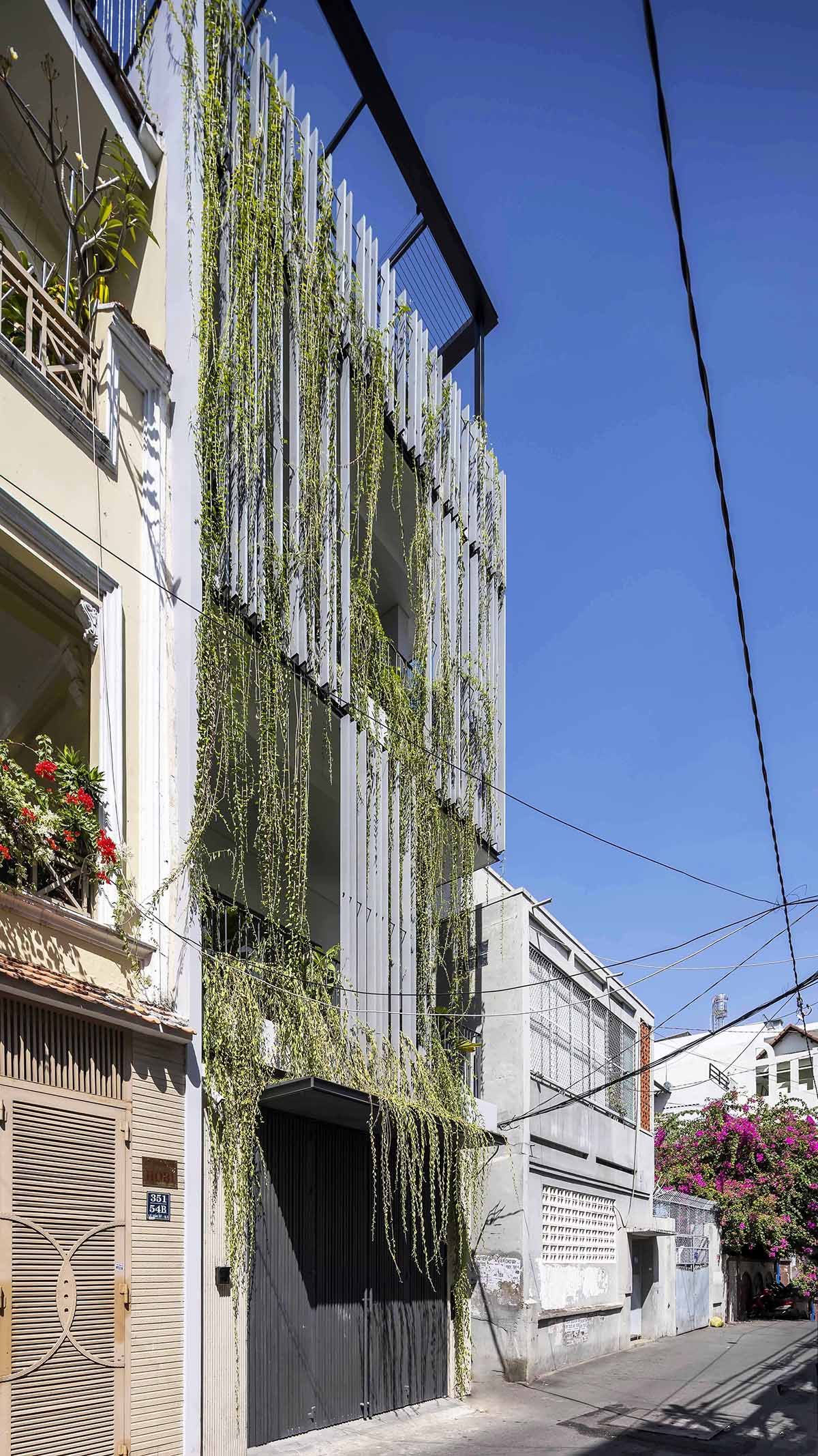 绿色连接的 Vy House-13