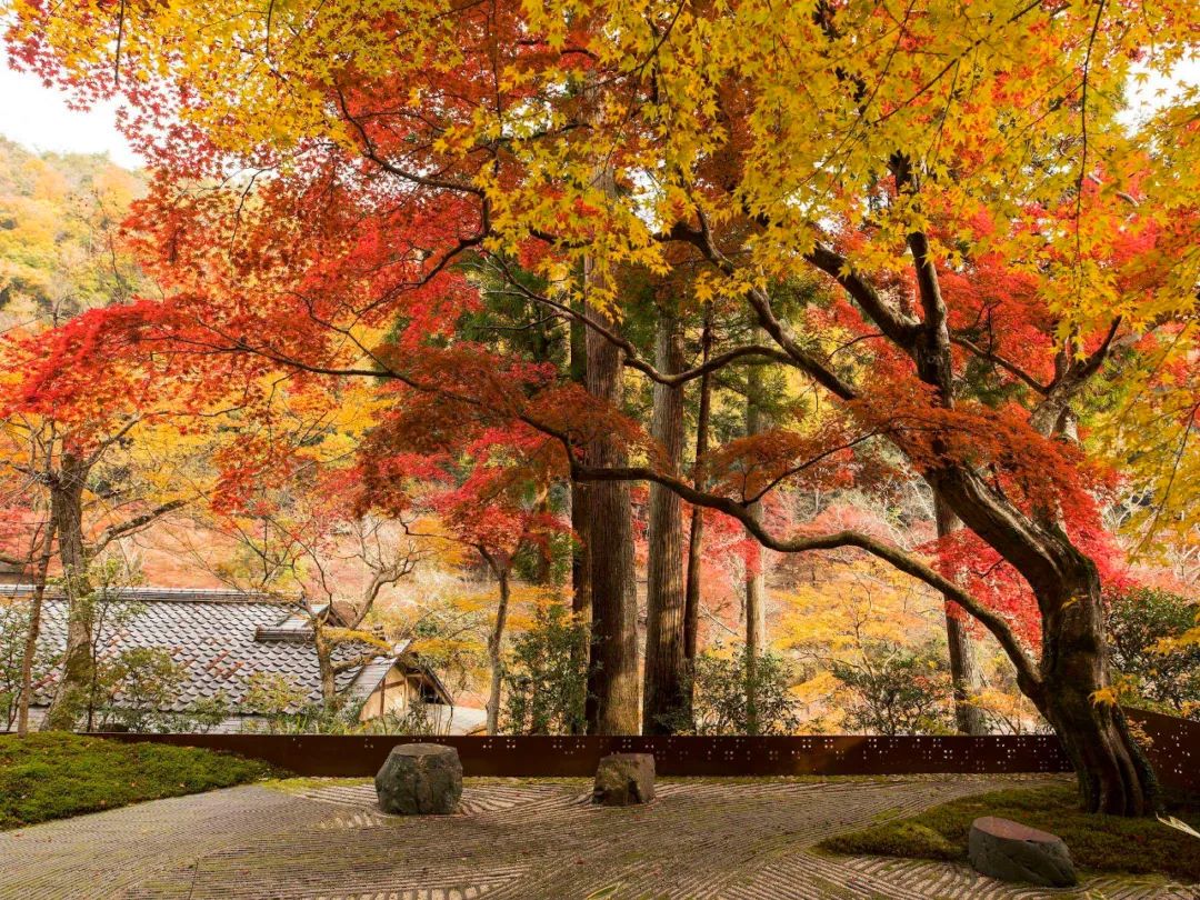 京都虹夕诺雅度假酒店丨日本京都丨Azuma Architect(东环境建筑事务所)-32