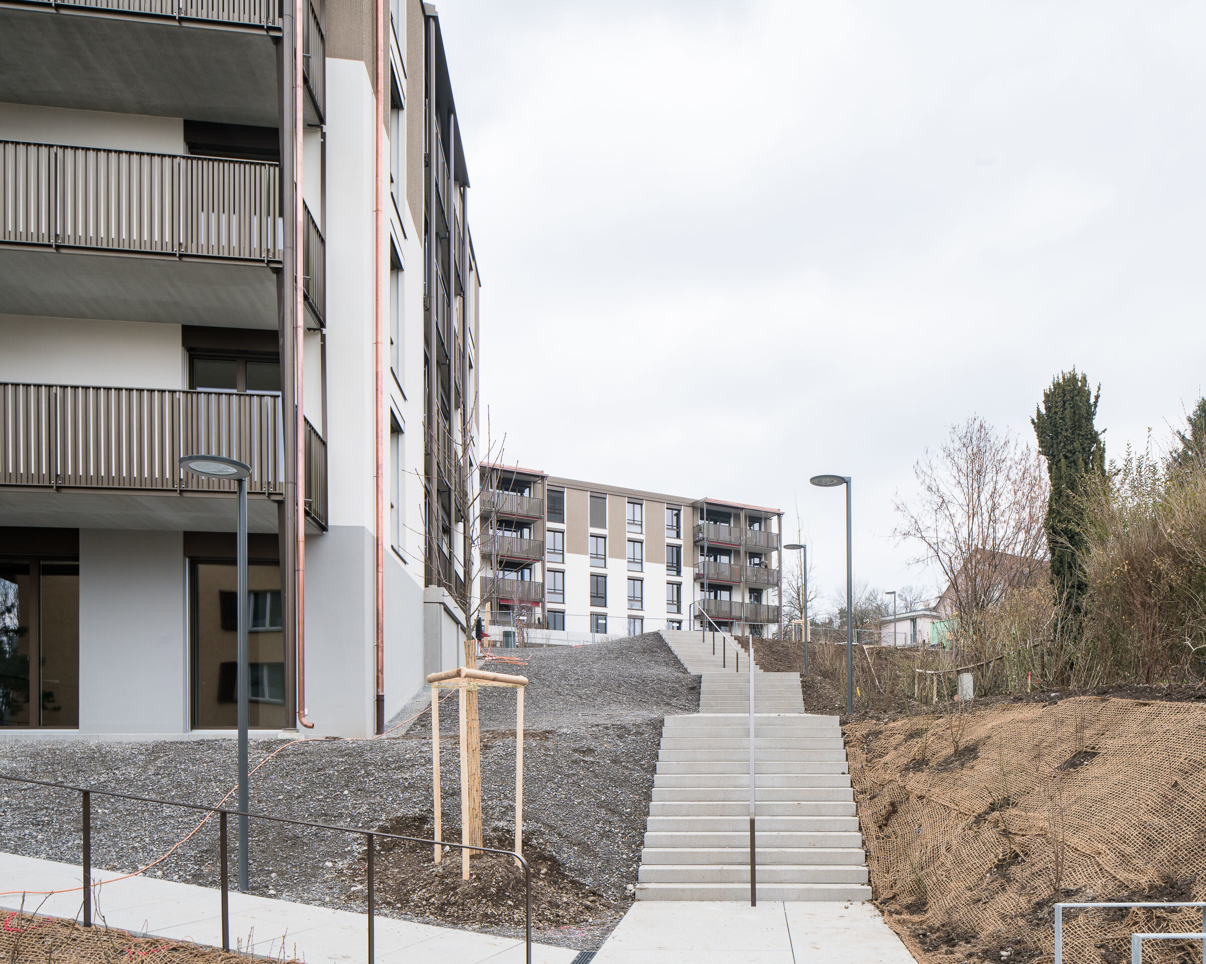 瑞士苏黎世 Entlisberg 新区住宅设计-11