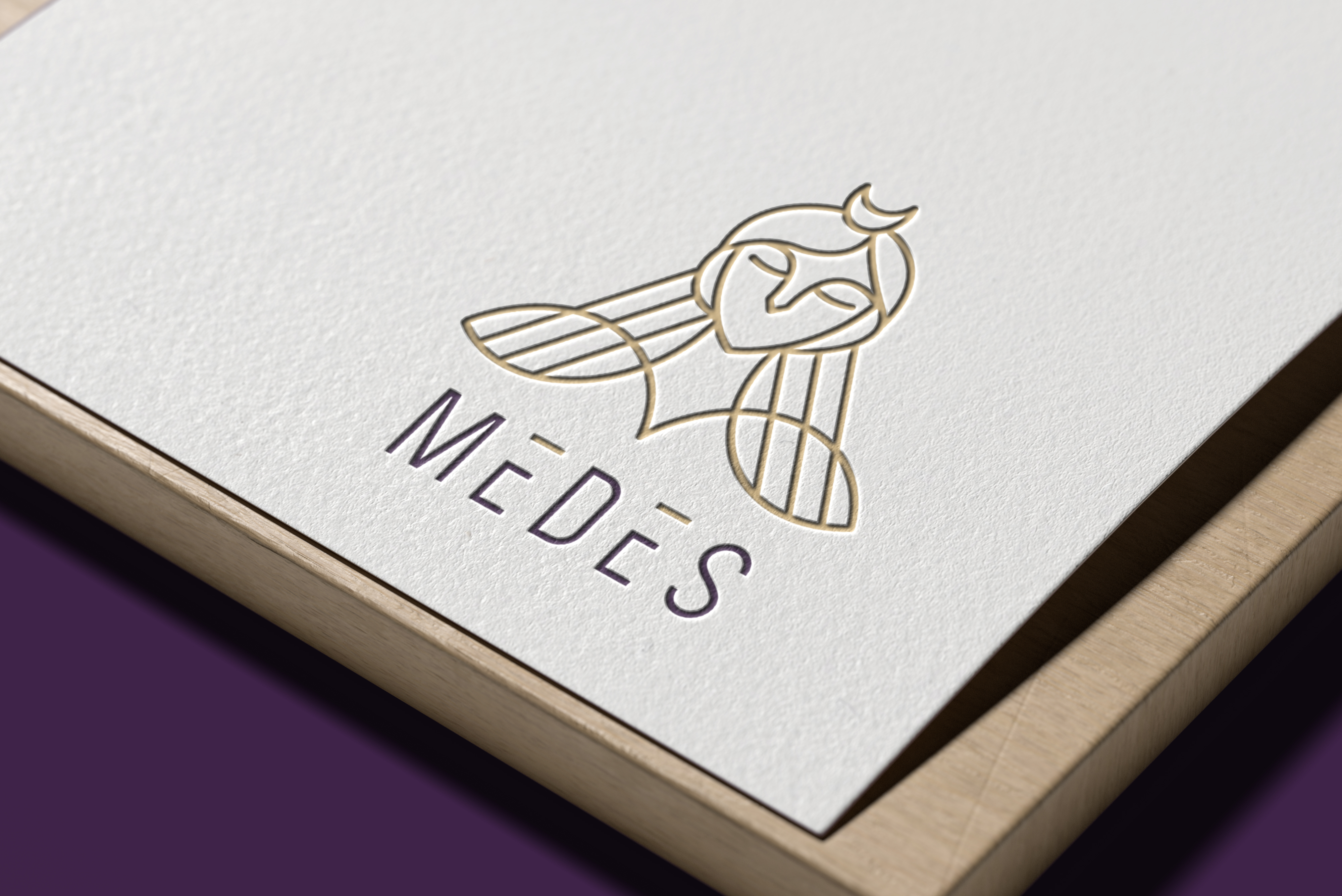 梅德斯时尚品牌塑造-6