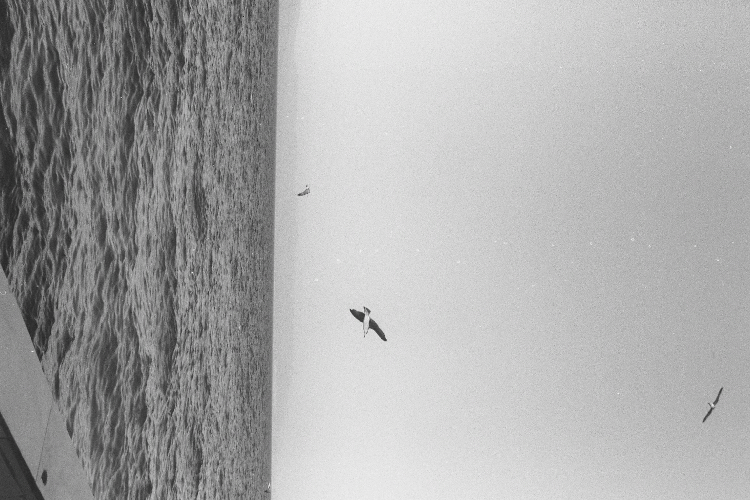 黑白电影日记相关摄影项目-5