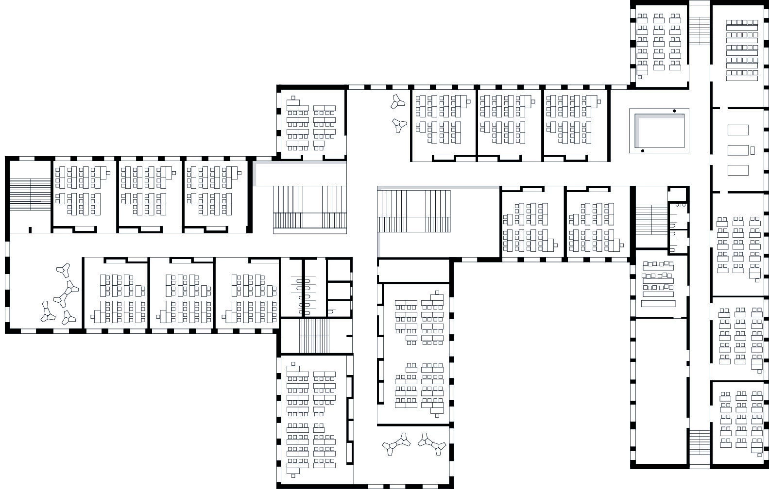 Konrad Lorenz 中学丨奥地利丨Franz&Sue-19