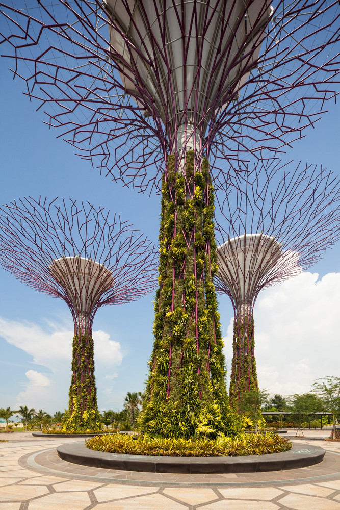 新加坡海湾花园-13