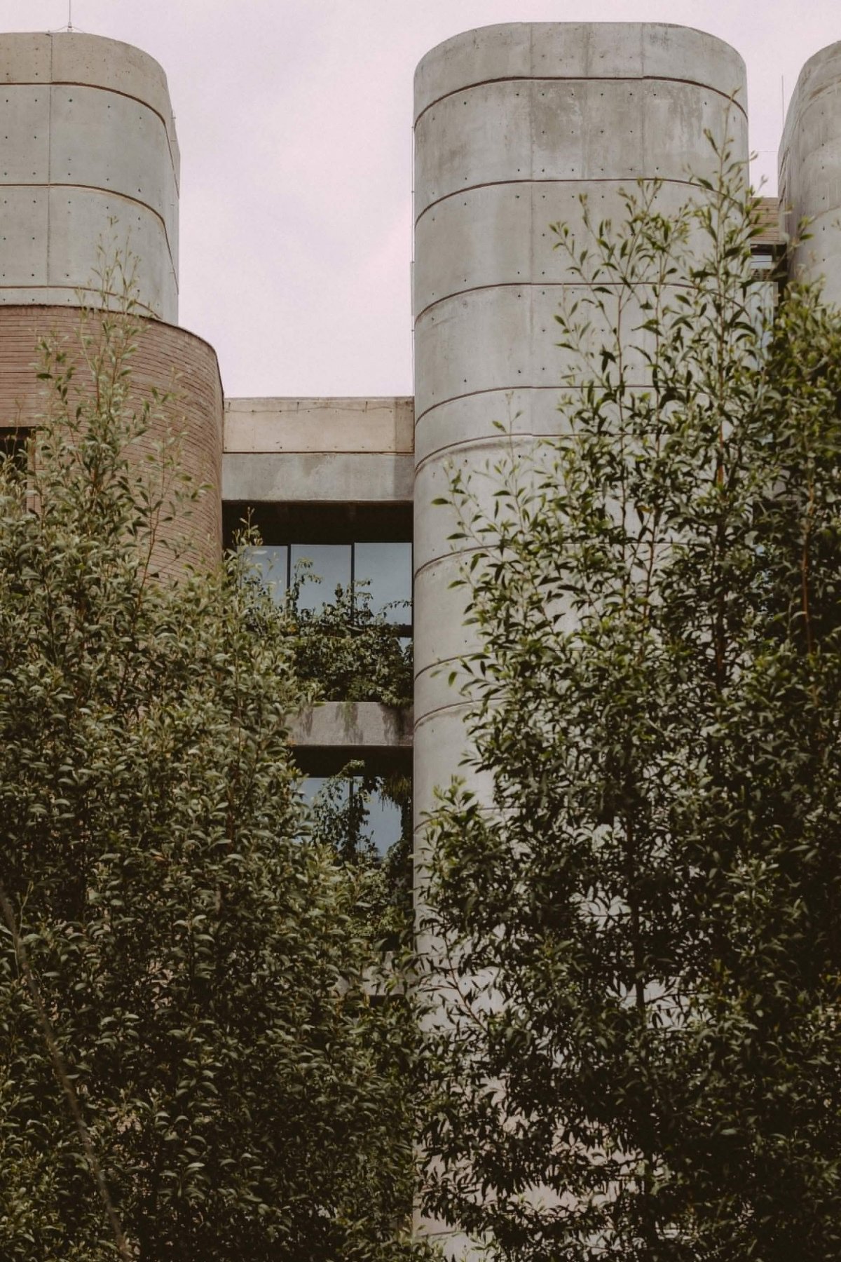 独立实验室丨哥伦比亚丨StudioSC,Base Taller-5