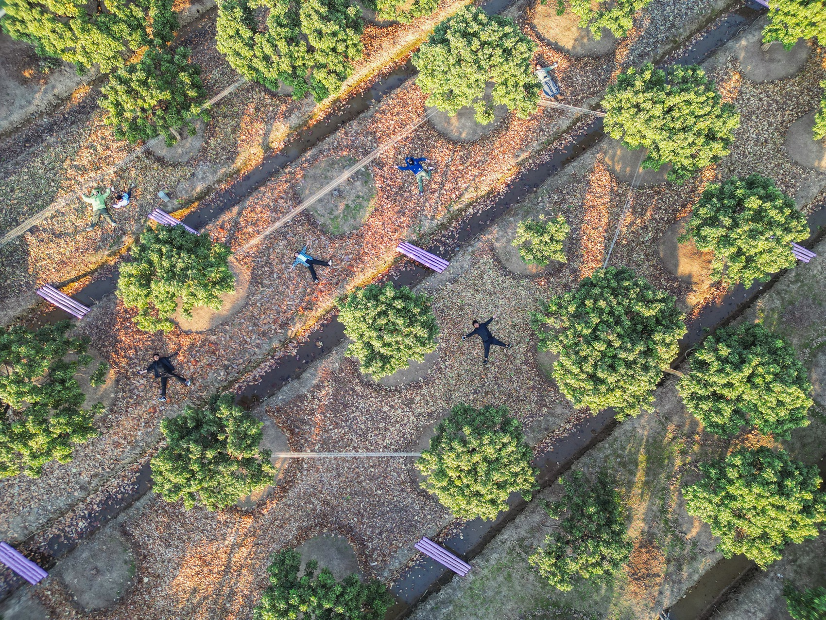 川行,CROSSING MEMORY丨中国广州丨北京林业大学 + LAIBA STUDIO-3