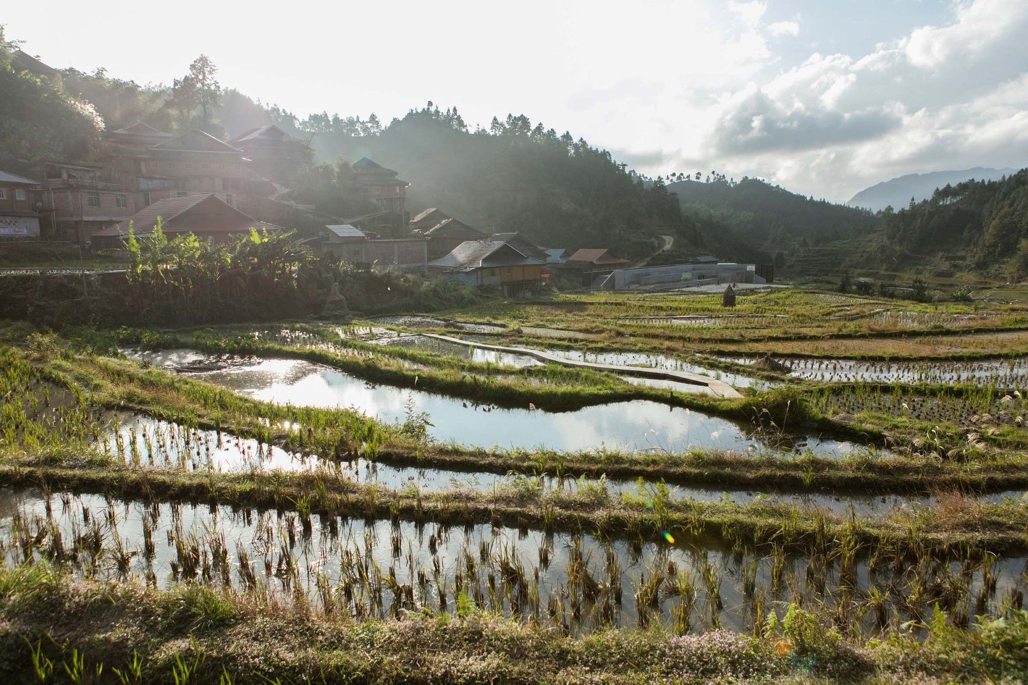 大宝小学及社区文化中心（Dabao Primary School and Community Cultural Centre）-28