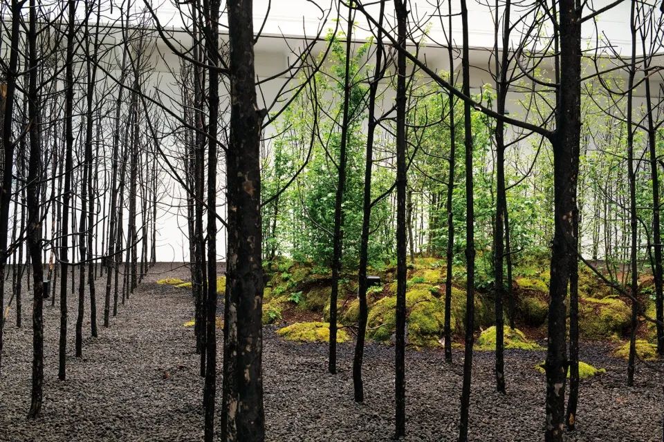 “呼唤希望”沉浸式装置丨奥地利维也纳丨Superflux 设计工作室-33