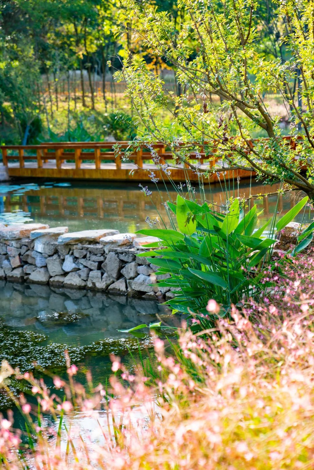 溧阳 1 号公路汨罗灞驿站丨中国江苏丨上海亦境建筑景观有限公司,上海交通大学设计学院风景园林研究所-38