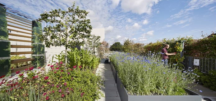 heneghan peng architects - University of Greenwich: Stockwell St. Building | London-9