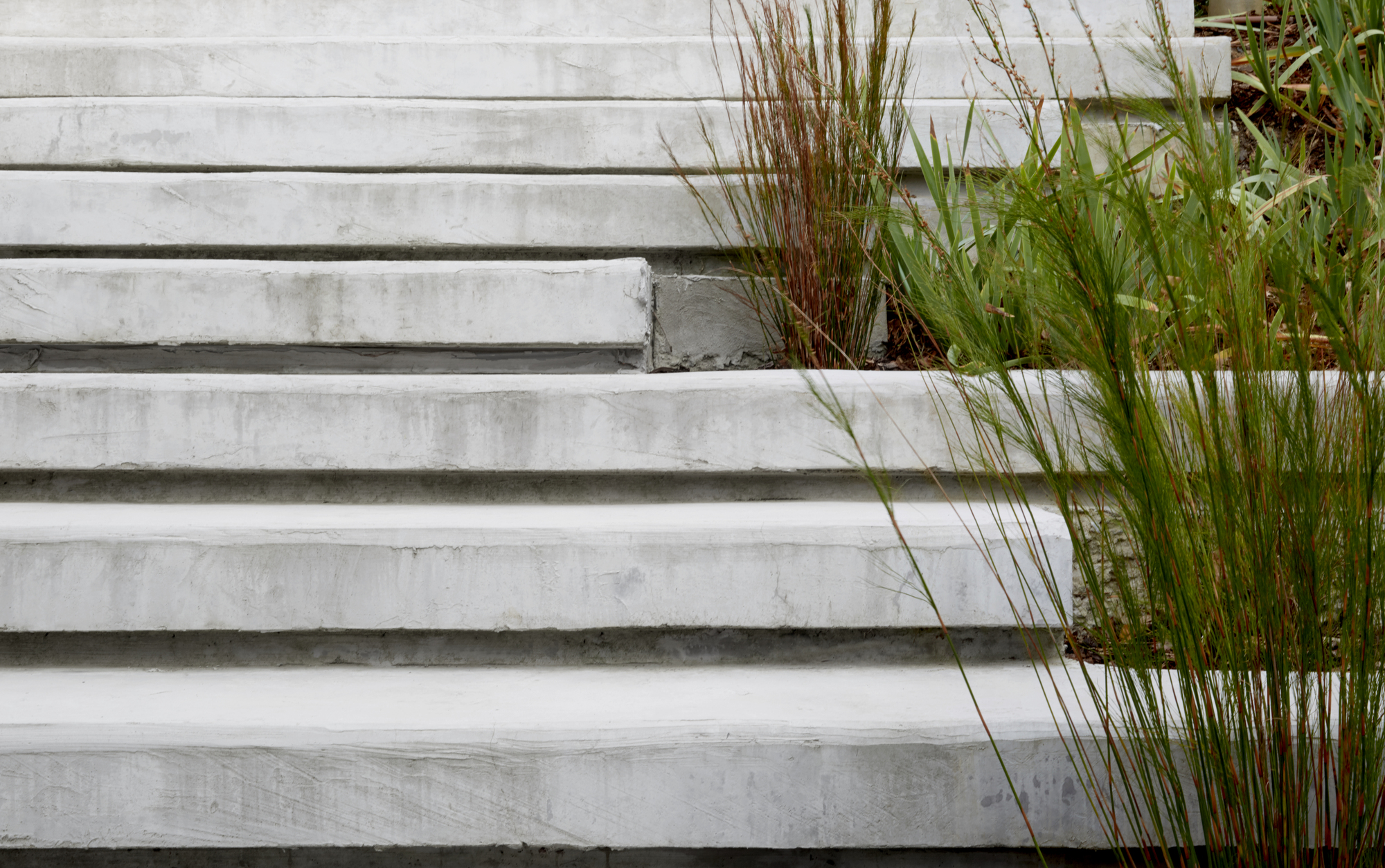 叶染秋意,世代共享的多代住宅-34