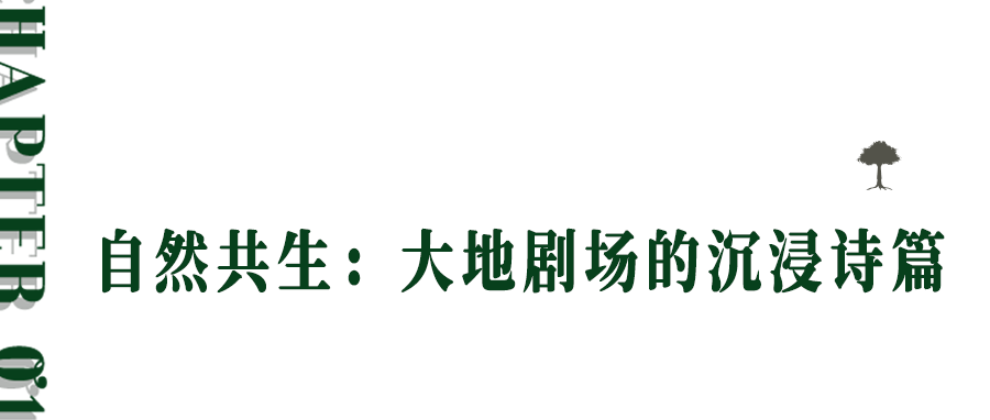 第六季度假庄园丨中国黄山丨S+P空间的诗学设计事务所-2
