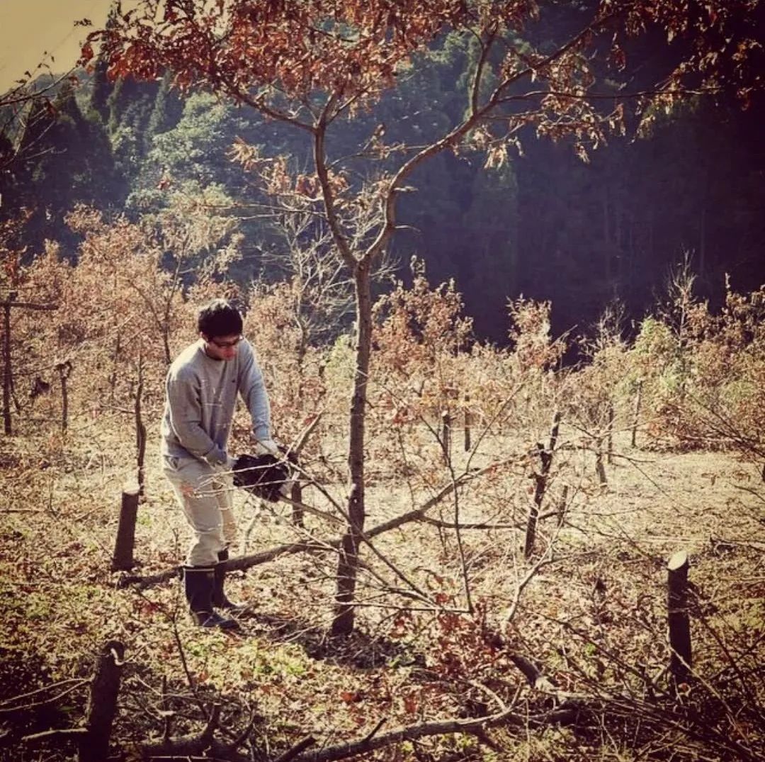 鹿儿岛乡间木屋丨日本鹿儿岛丨Kagae-104