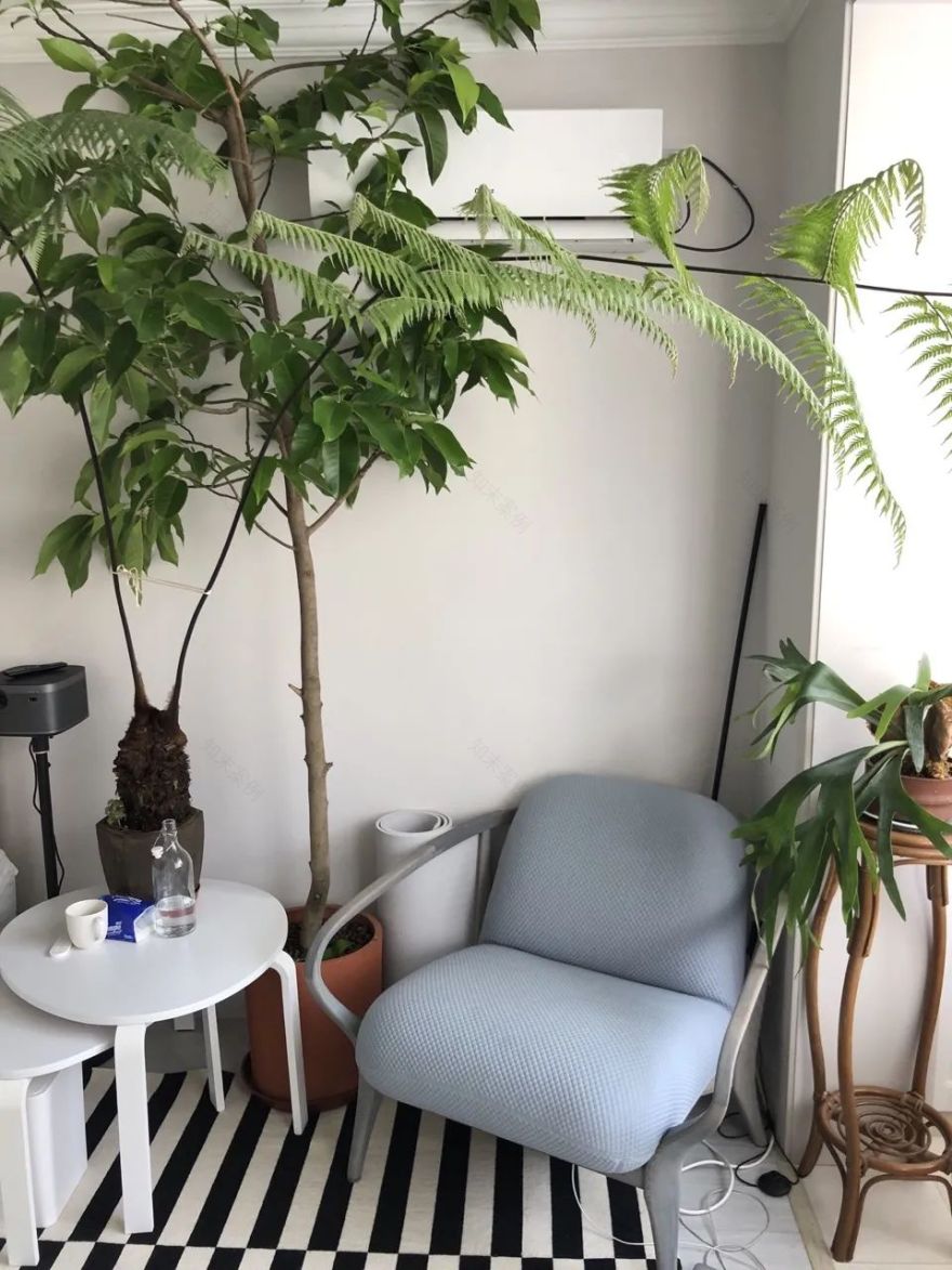 植物公寓 · 客厅里的生态艺术装置丨中国上海丨刘宇扬建筑事务所-4