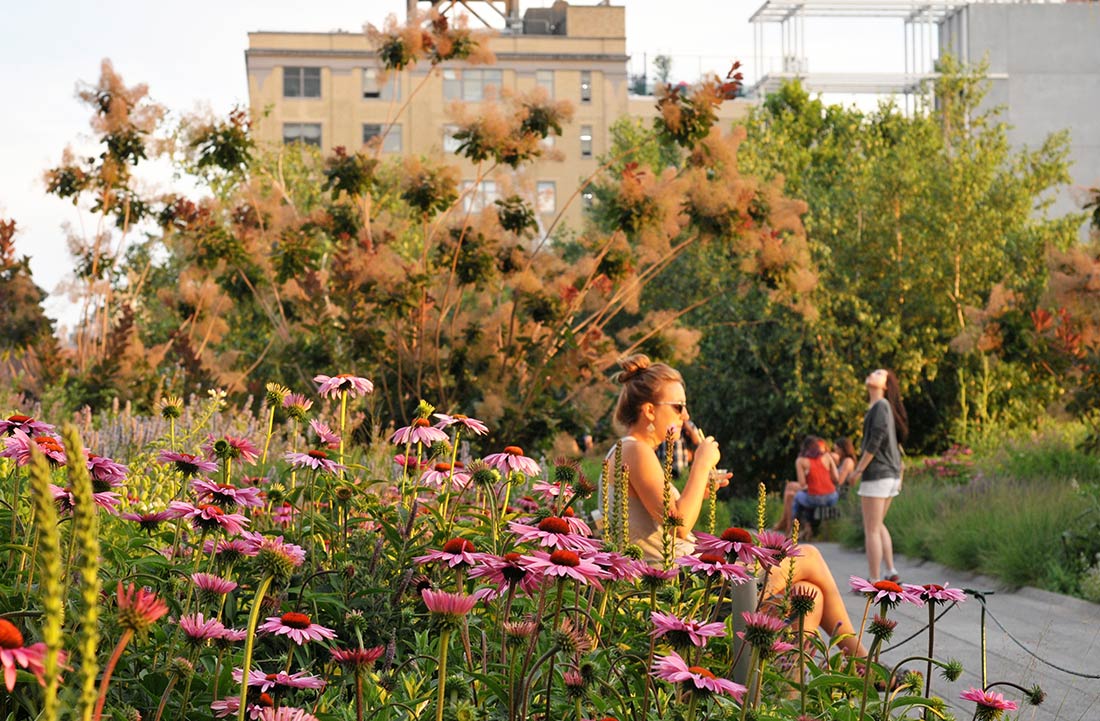 The High Line（高线公园）丨巴林哈德-15