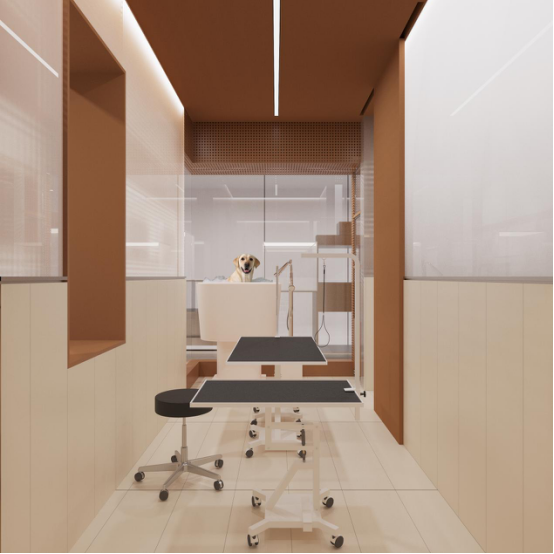 沈阳宠哒令 Pet Darling,前卫精致的空间魔法-61