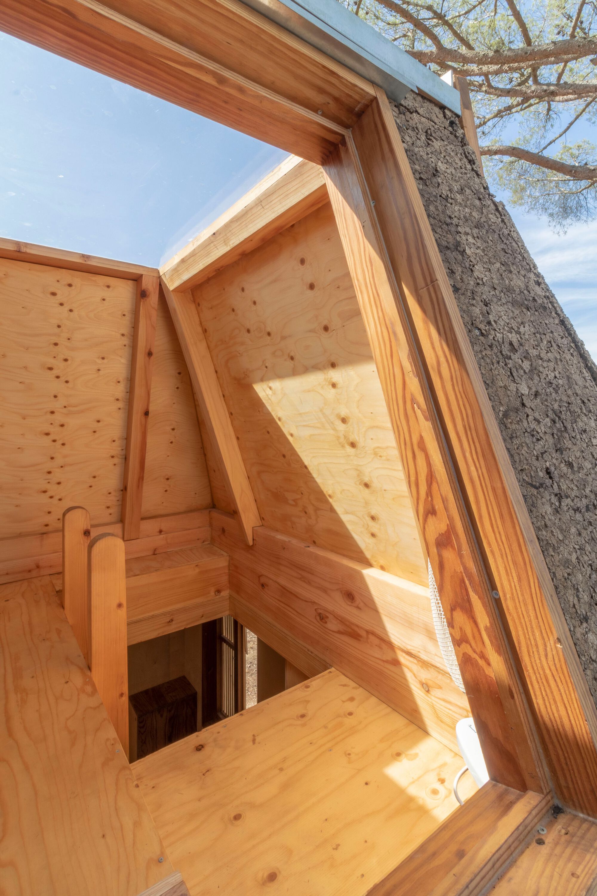 鸽子树屋丨葡萄牙丨Madeiguincho-17