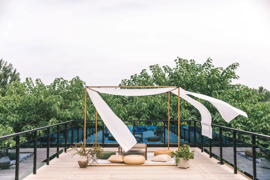 树林中的神仙小院 · 摄影师夫妻 10 万元爆改租住房丨中国北京-86