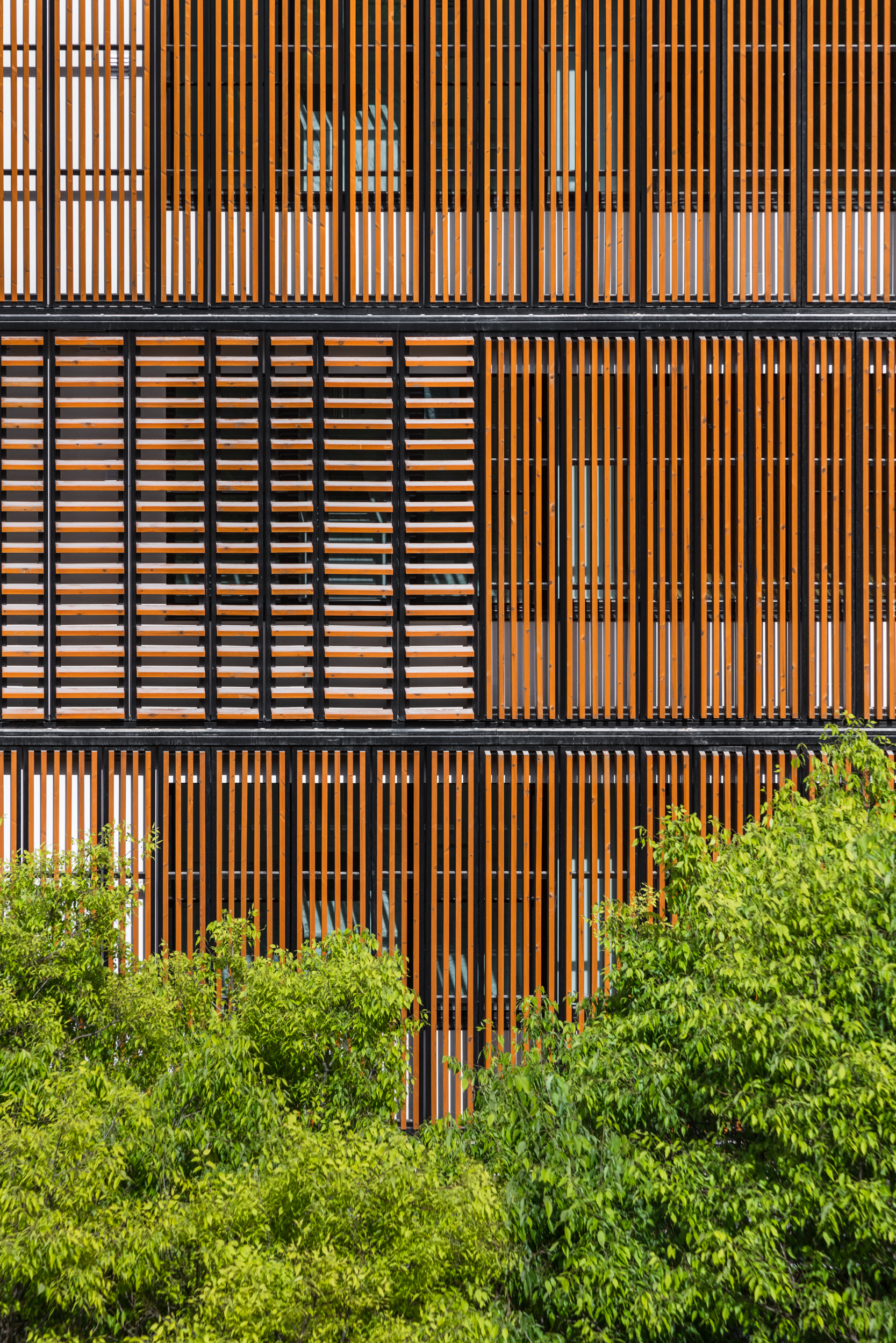 Lisbon Wood | Plano Humano Arquitectos-21