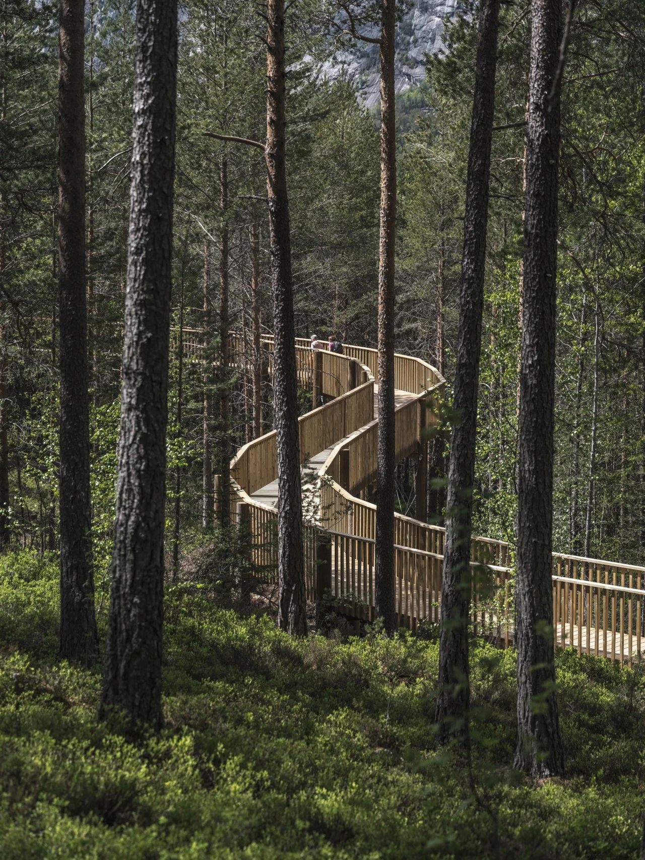 塔朗亭丨印度丨The Grid Architects-70