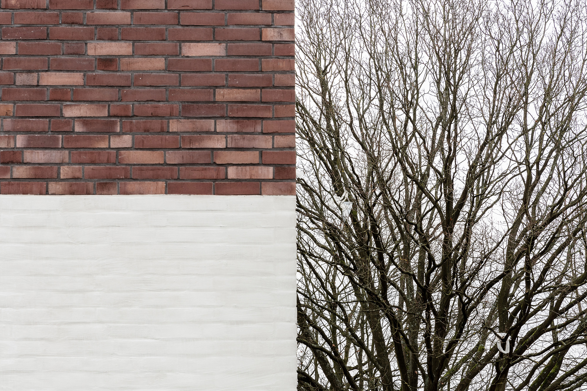 Hamburg校园建筑项目（未明确全称）丨德国汉堡丨AllesWirdGut,DnD景观建筑办公室-45