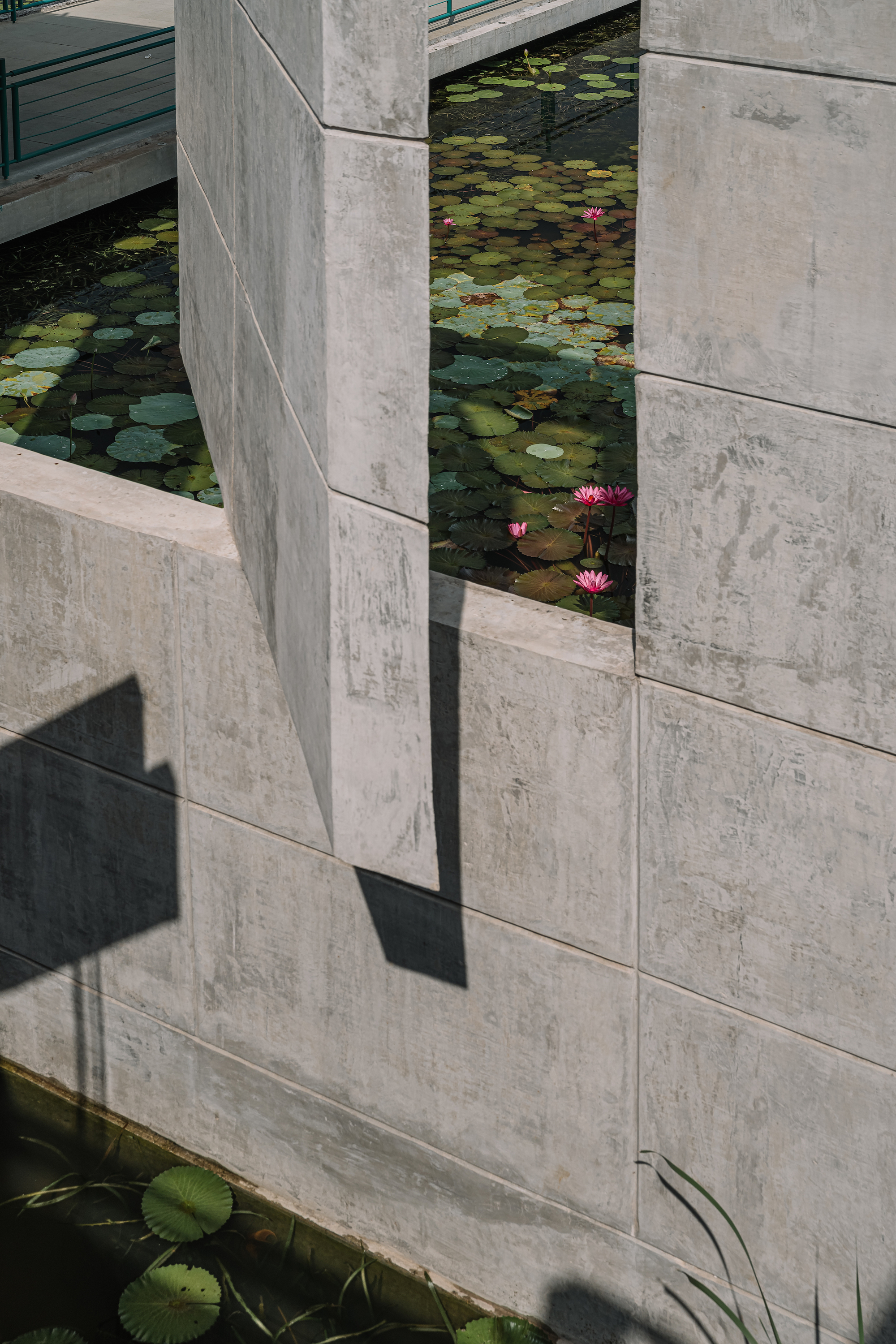 丨印度丨Studio Naqshbandi-28