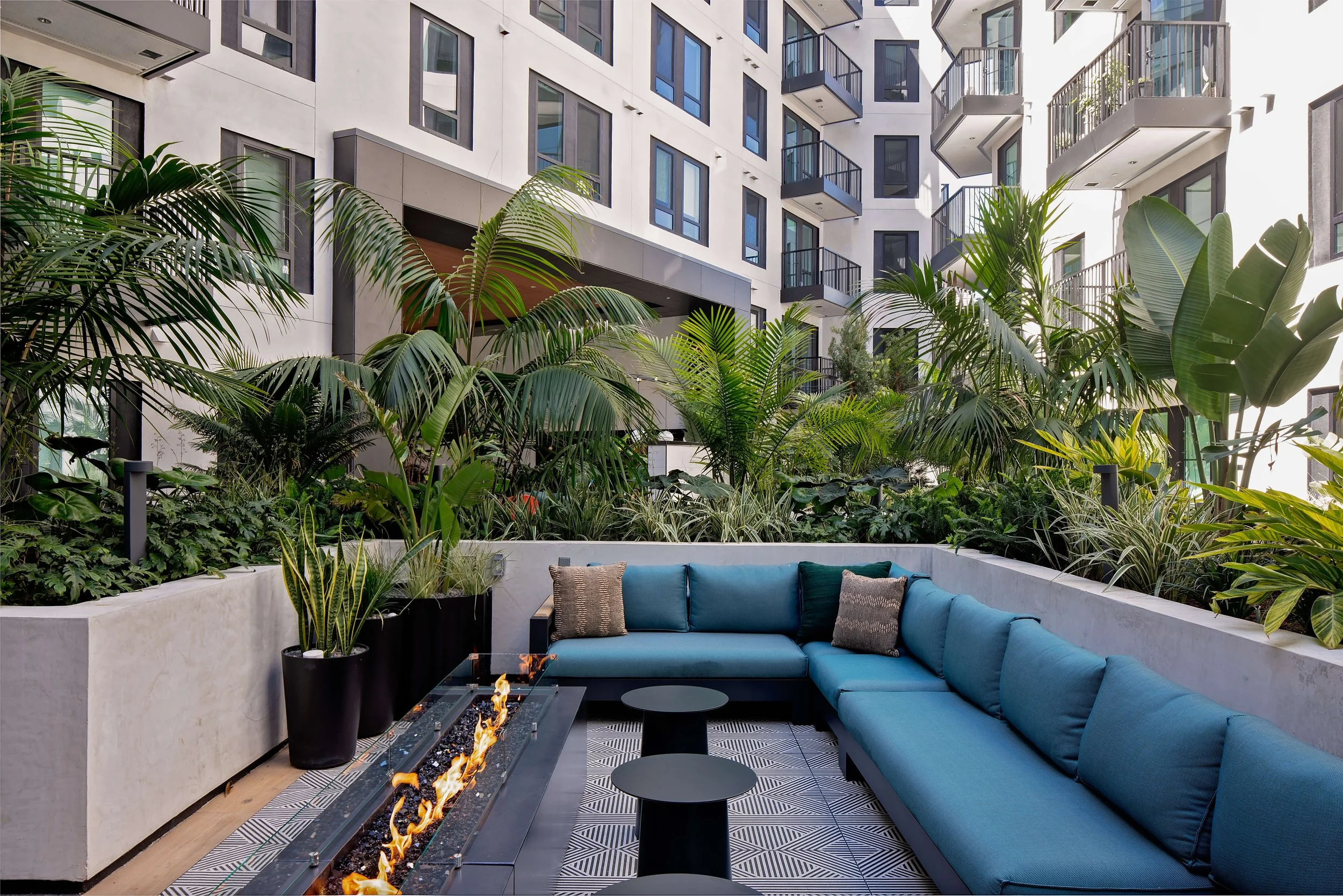 丨美国加利福尼亚丨Vida Design-41