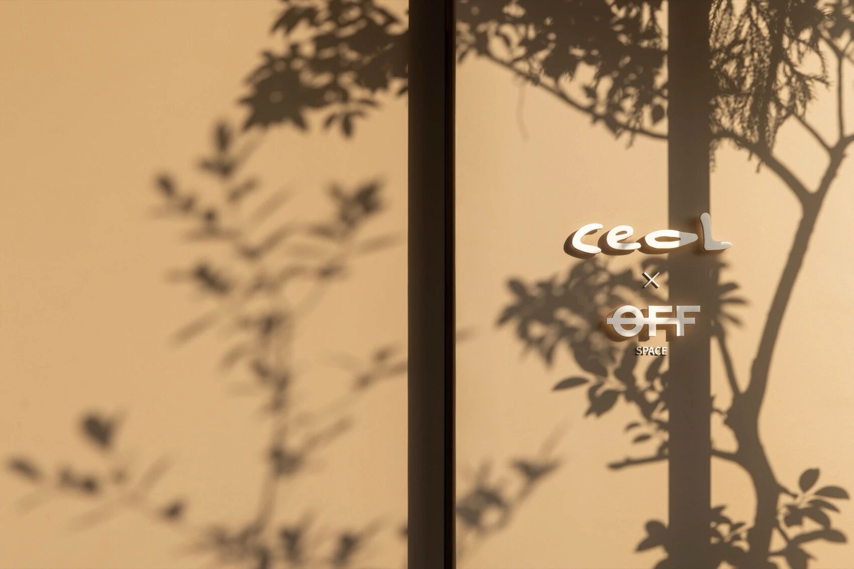 CEOL · OFF丨中国杭州丨杭州观堂室内设计有限公司-10