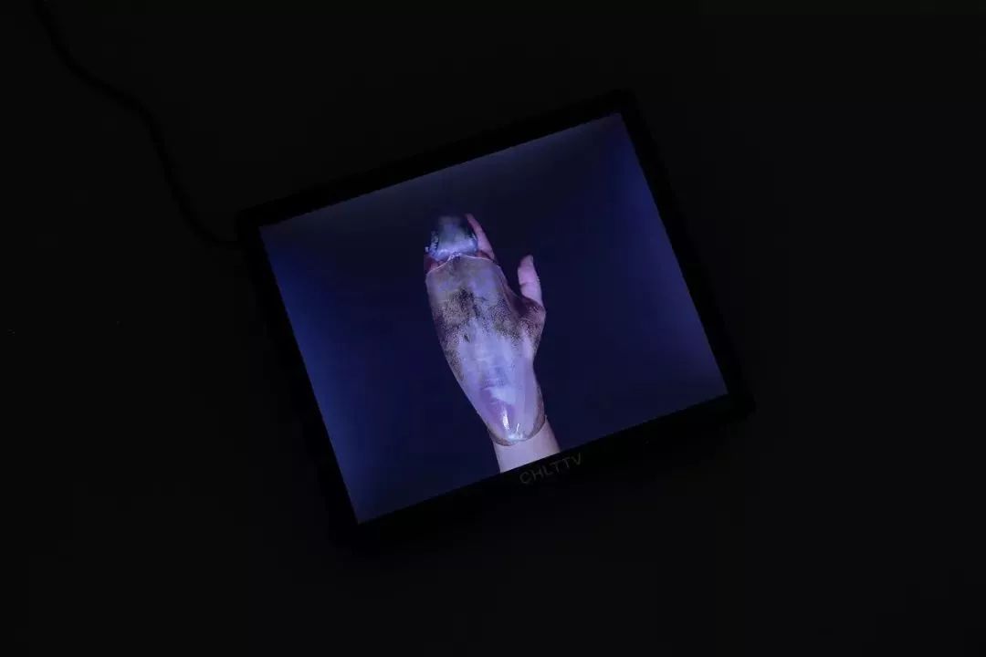 空白空间 2019 年度回顾 | 艺术与设计的完美交融-66