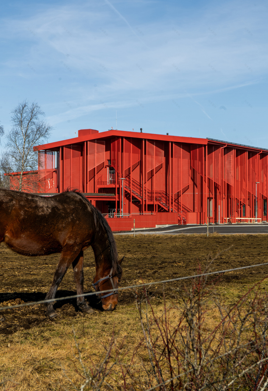 容斯隆德学校丨瑞典丨D Office arkitekter-40