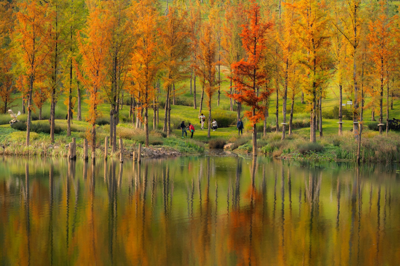 重庆麓溪湖·原滩公园丨中国重庆丨WTD纬图设计-50