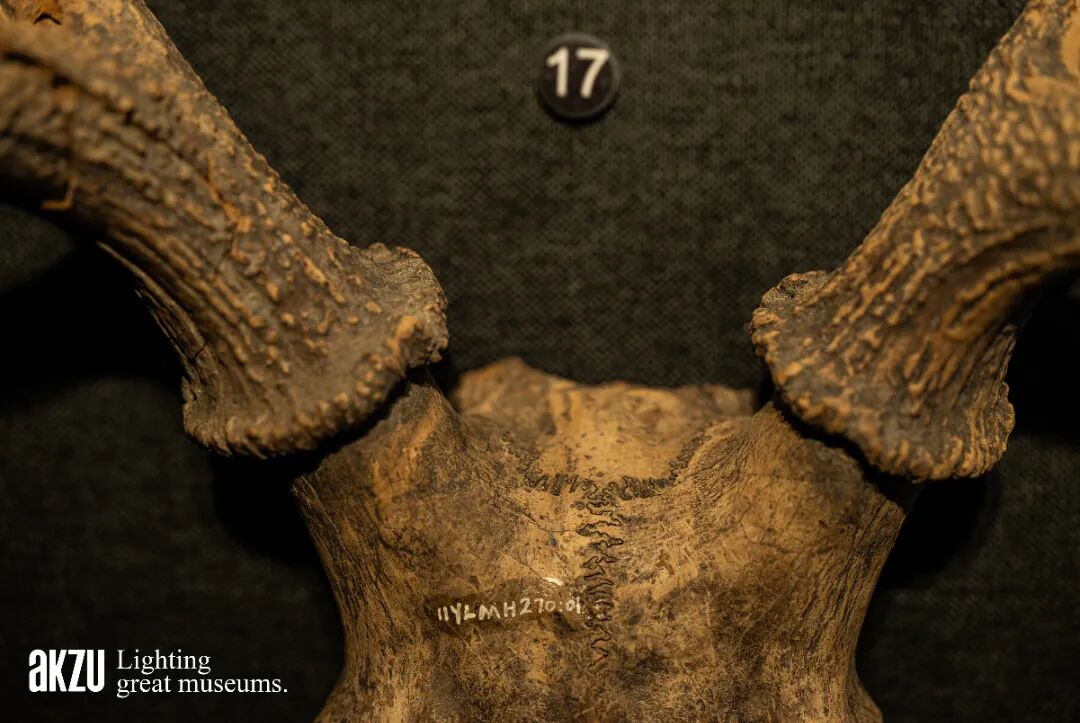 玉架山考古博物馆基本陈列|埃克苏博物馆照明项目-48