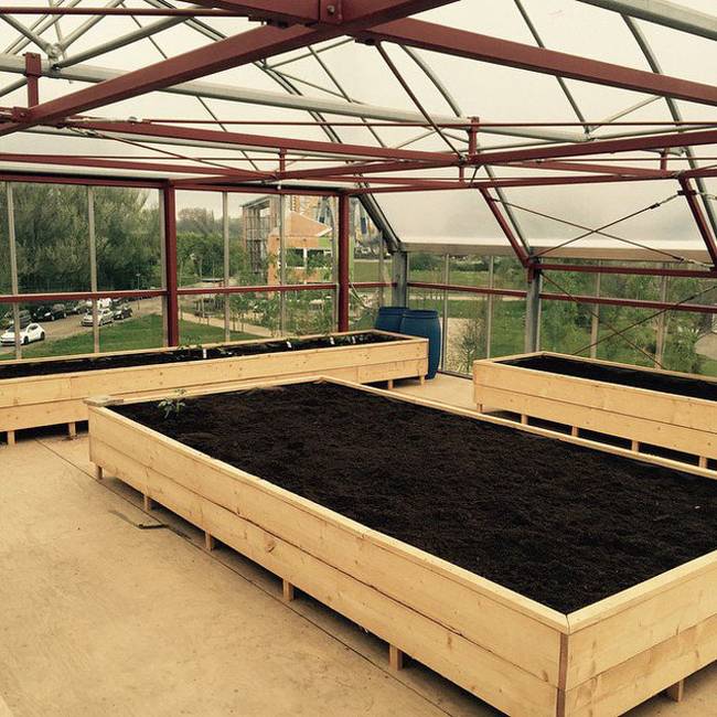 丨荷兰鹿特丹丨鹿特丹应用科学大学学生-13