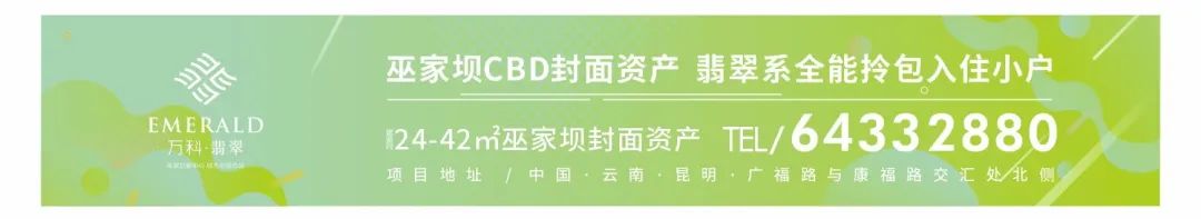 万科·翡翠公馆 | 擎领CBD站位时代的城市封面资产-12