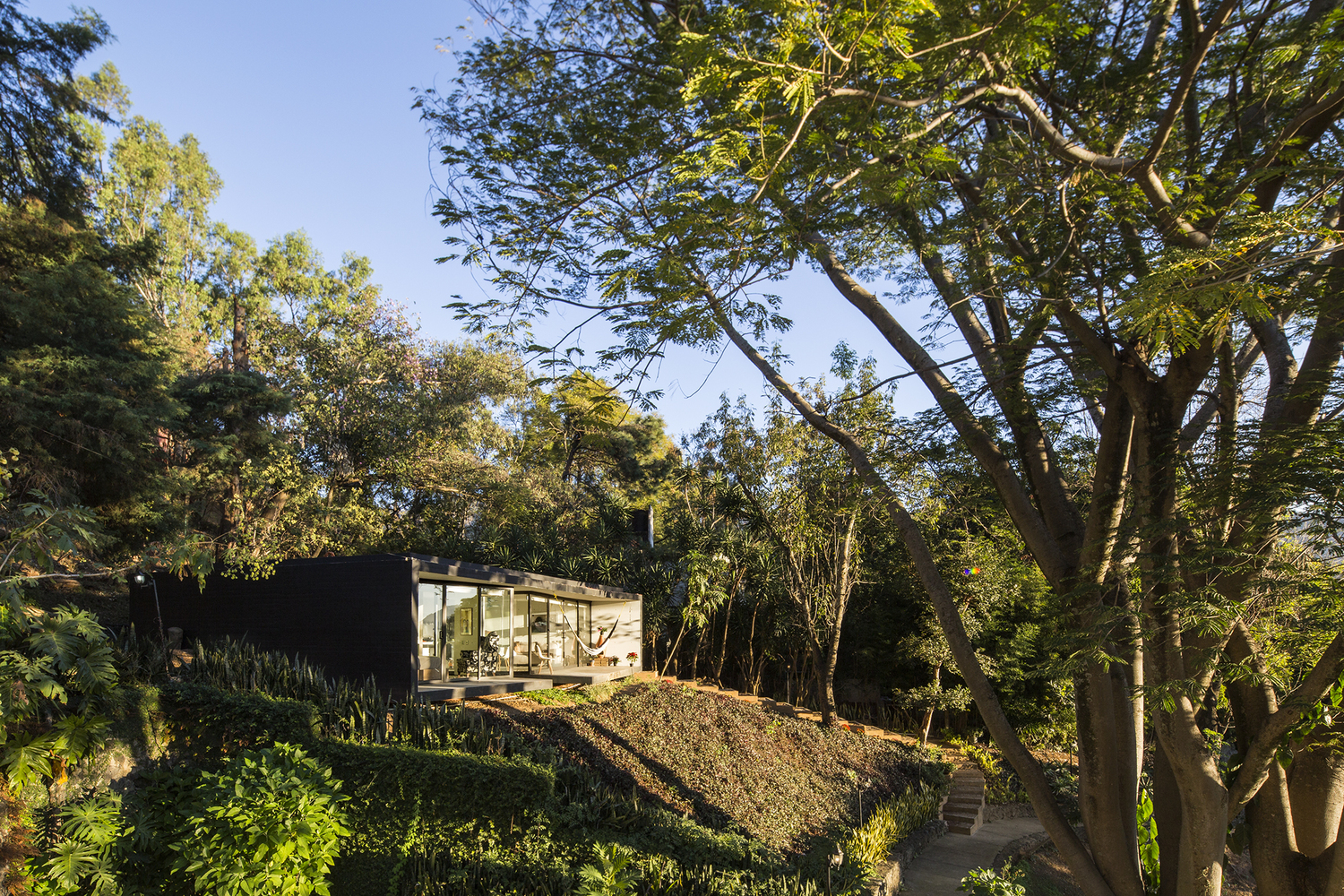 墨西哥特波兹伦自然景观中的临时避难所-44