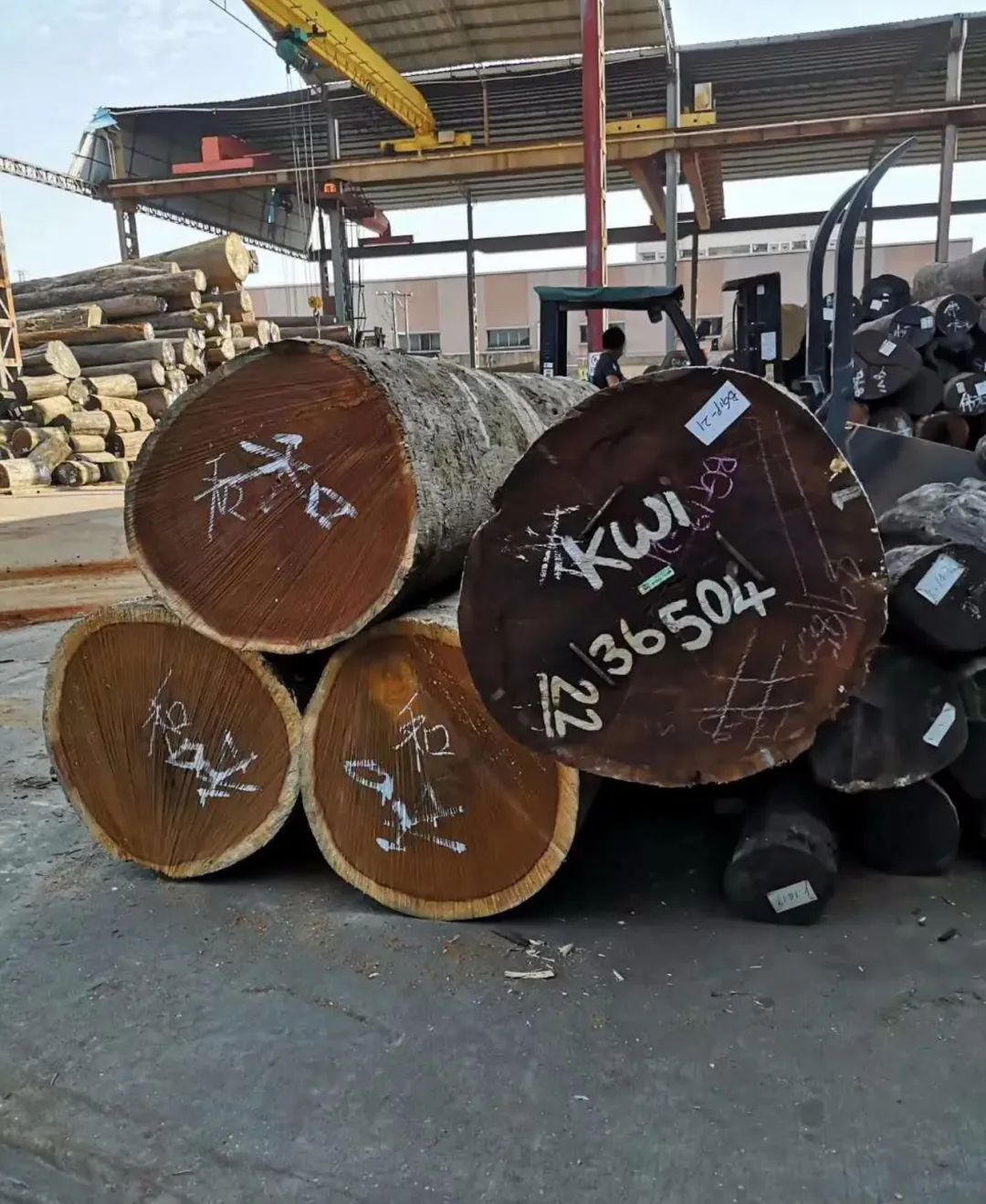 原木整装的艺术魅力-24