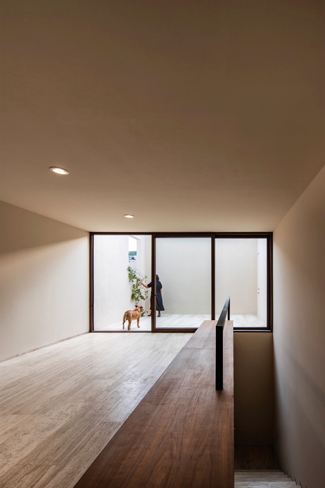 Sabino 10 住宅丨墨西哥丨Editorial-33