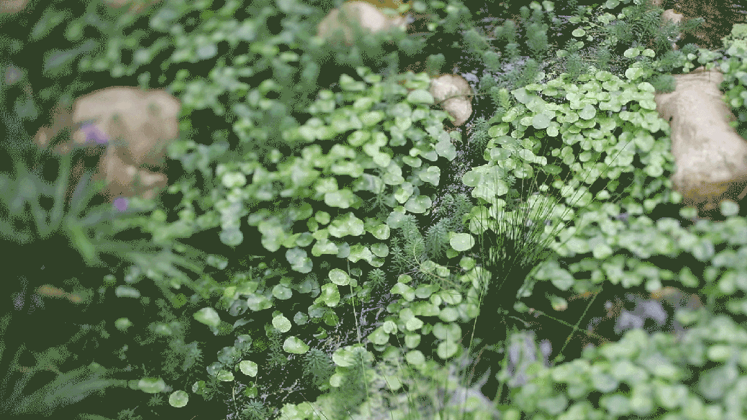 广东2000㎡花园别墅丨中国广东丨深圳太合南方设计-17