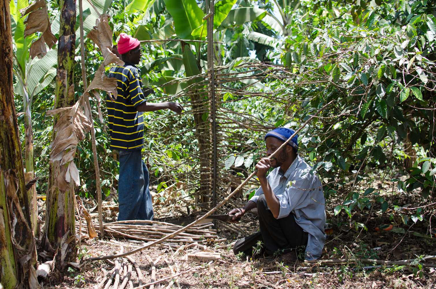 阿马尼图书馆-36